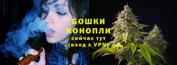 PSILOCYBIN Богородицк